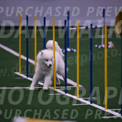 Expo-Pam-Lewis-03416