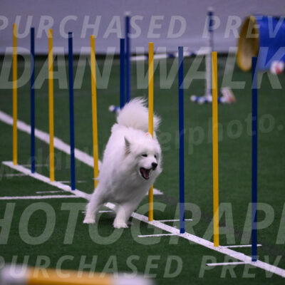 Expo-Pam-Lewis-03429