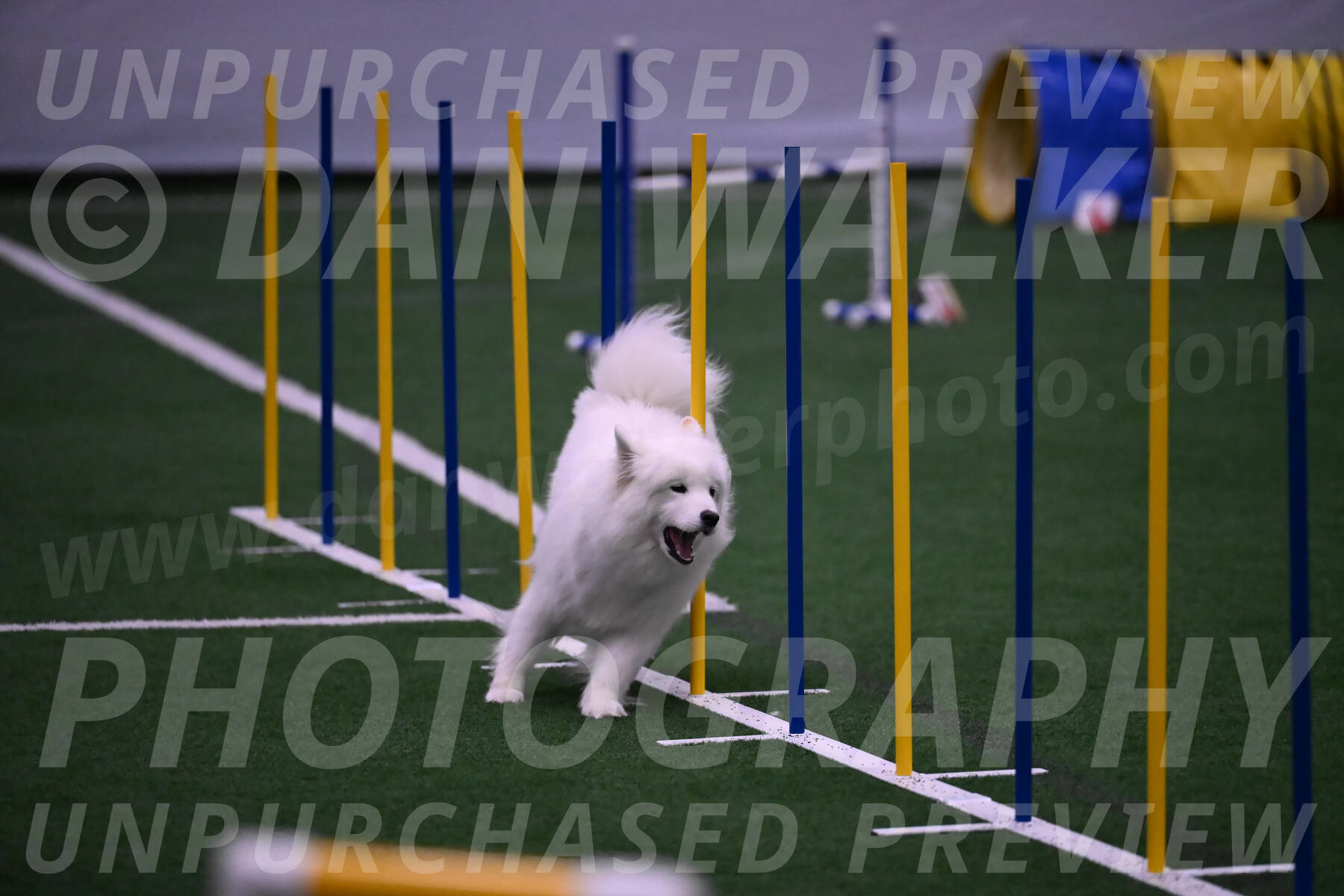 Expo-Pam-Lewis-03429