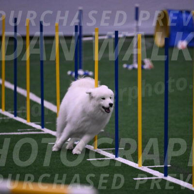 Expo-Pam-Lewis-03430