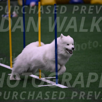 Expo-Pam-Lewis-03451