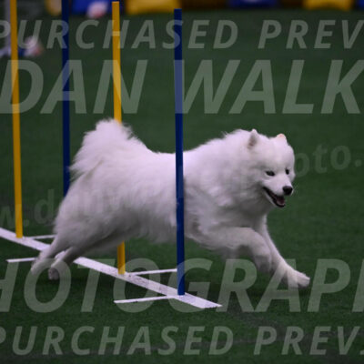 Expo-Pam-Lewis-03452