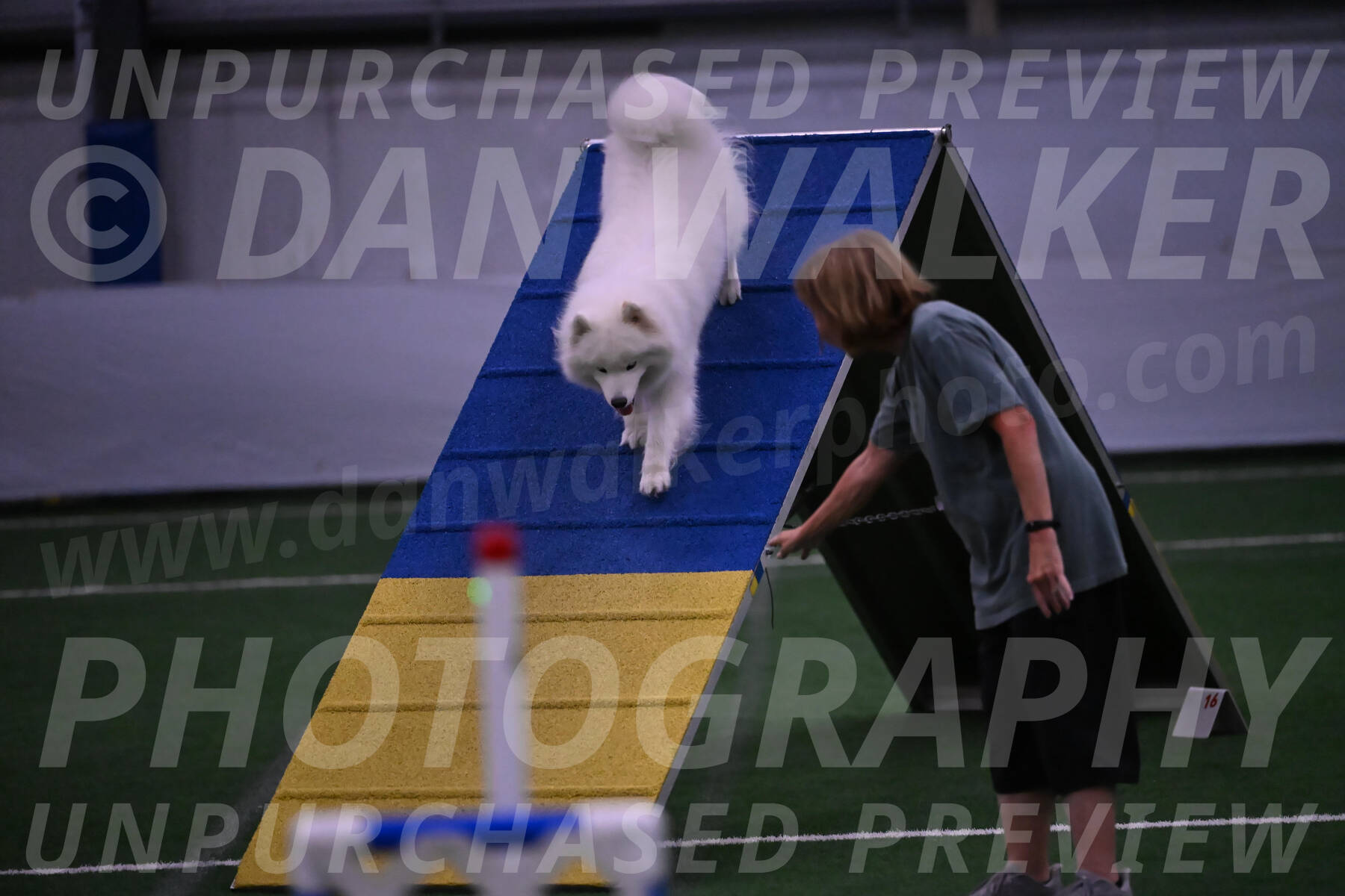 Expo-Pam-Lewis-03463