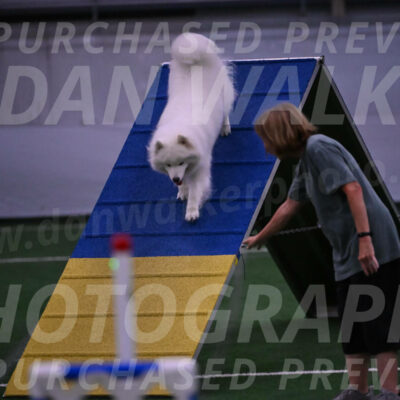 Expo-Pam-Lewis-03463