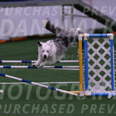 Finley-Annette-Oakley-07185