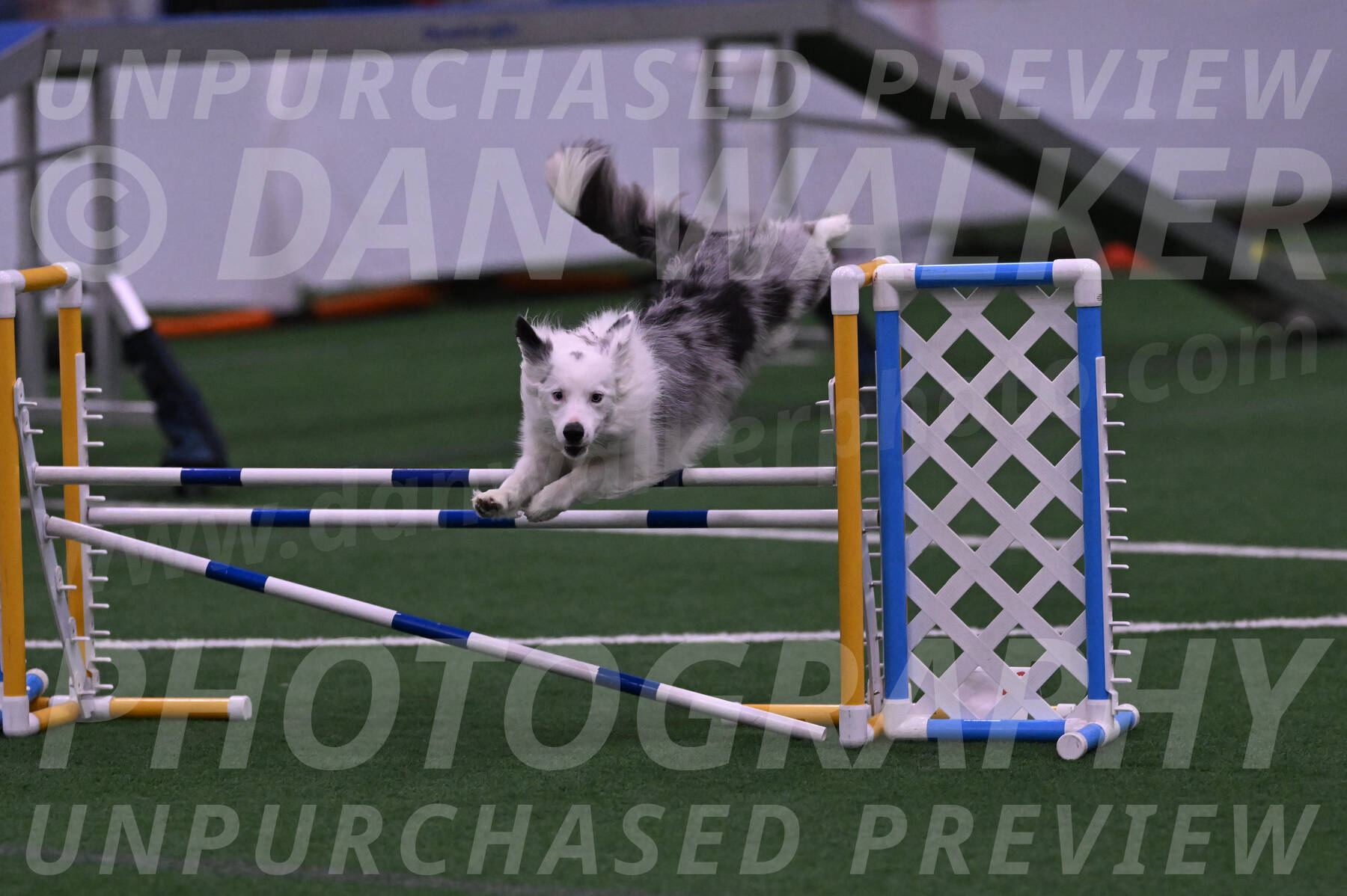Finley-Annette-Oakley-07185