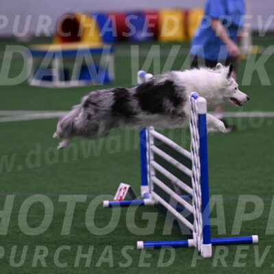 Finley-Annette-Oakley-07190