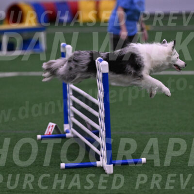 Finley-Annette-Oakley-07191
