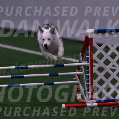 Finley-Annette-Oakley-07198