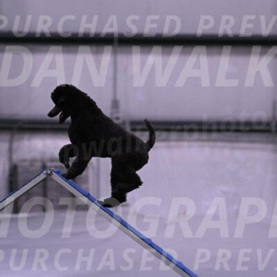 Finn-Madison-Canton-05434