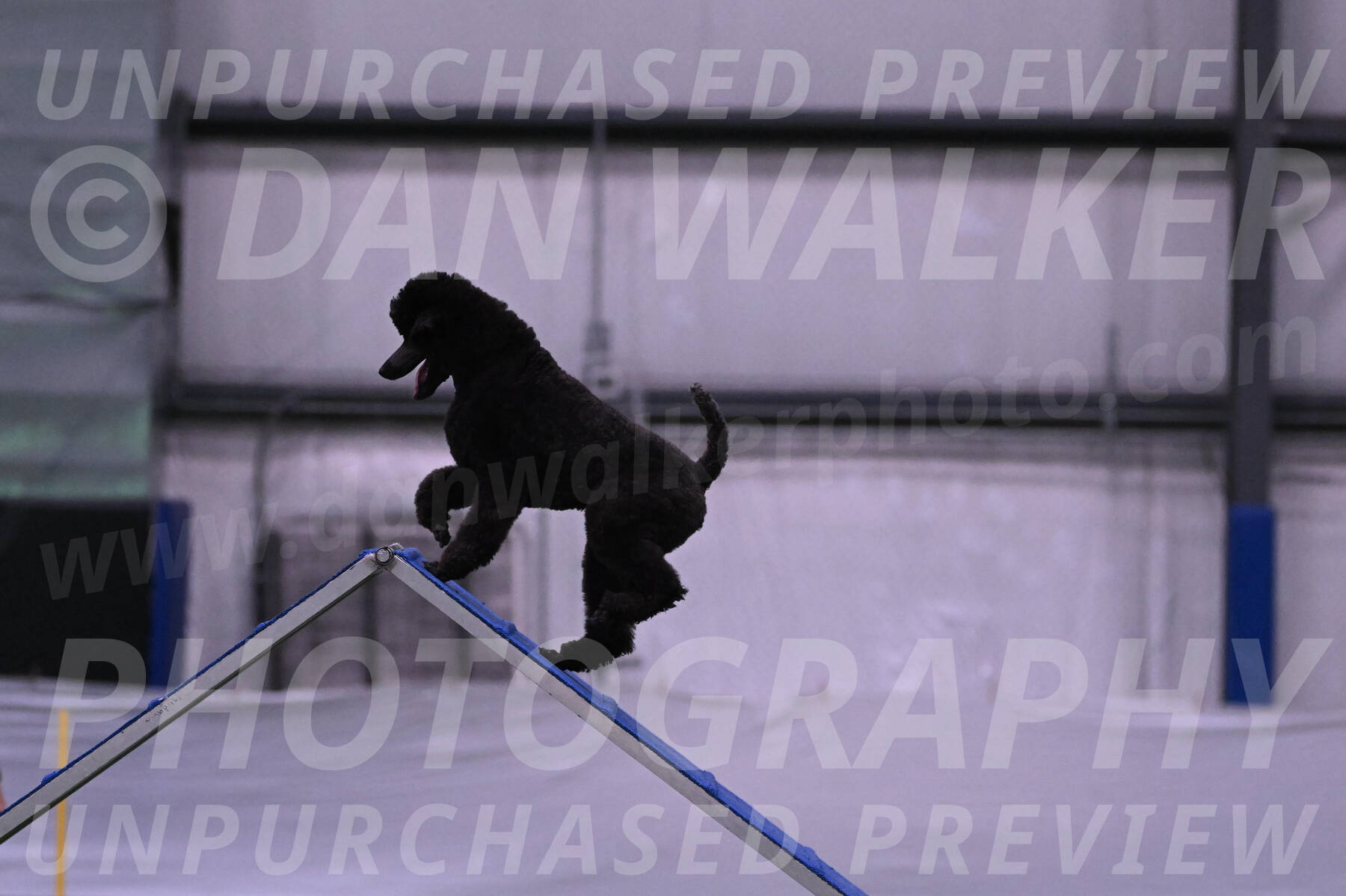 Finn-Madison-Canton-05434
