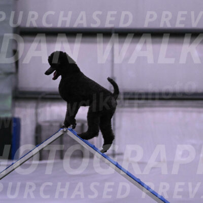Finn-Madison-Canton-05435