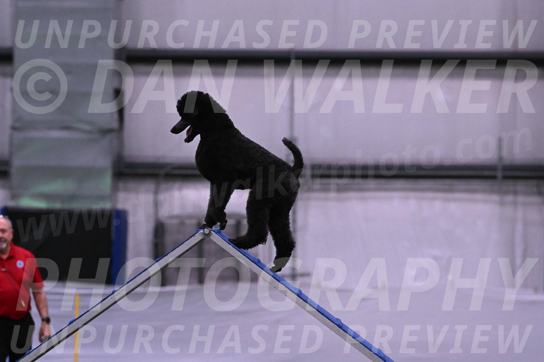 Finn-Madison-Canton-05435
