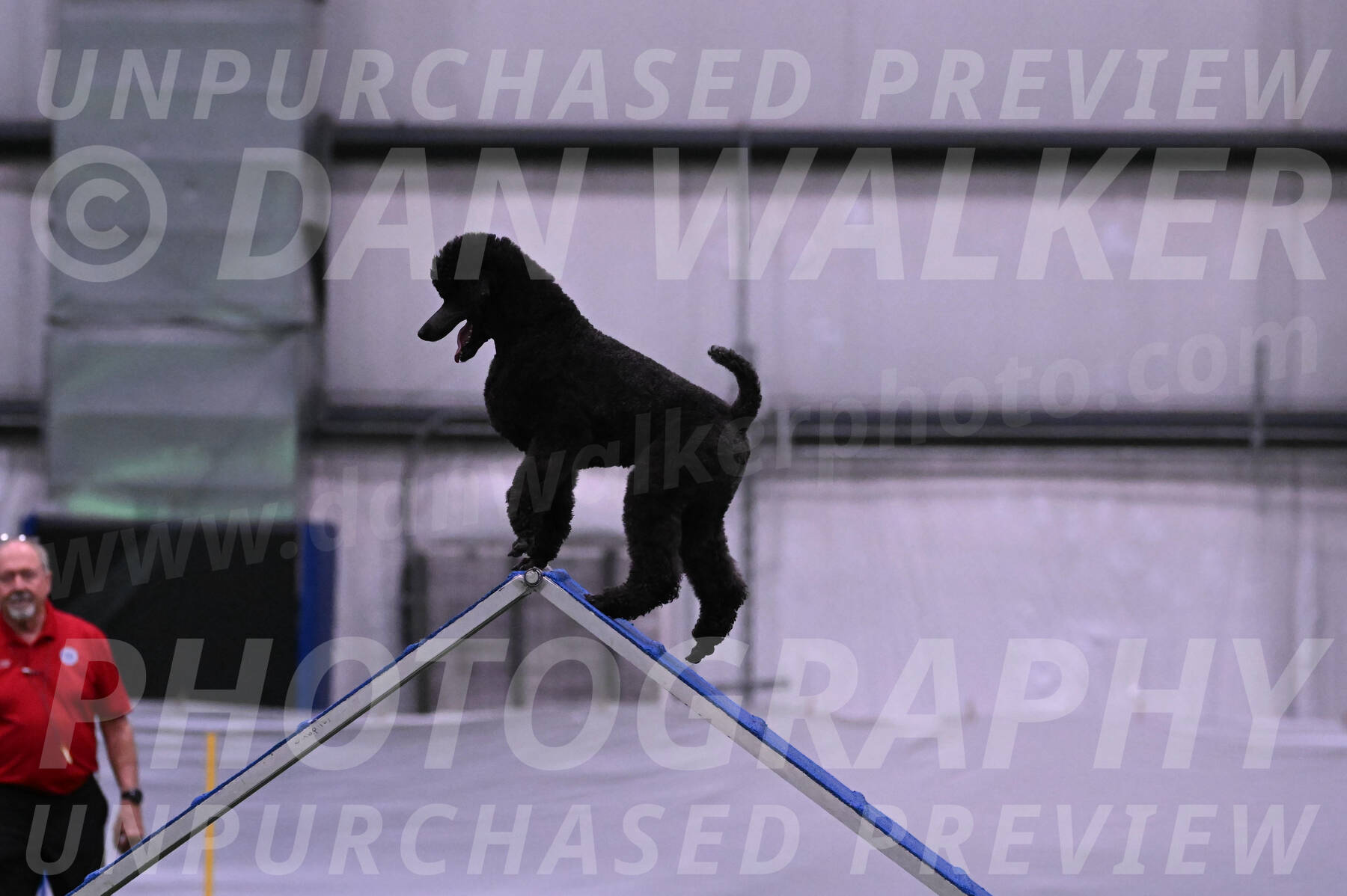 Finn-Madison-Canton-05436