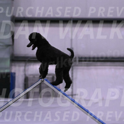 Finn-Madison-Canton-05436