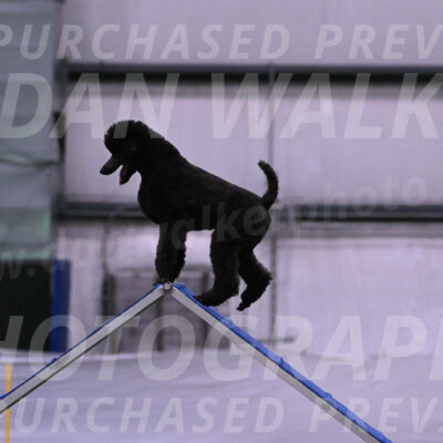 Finn-Madison-Canton-05437