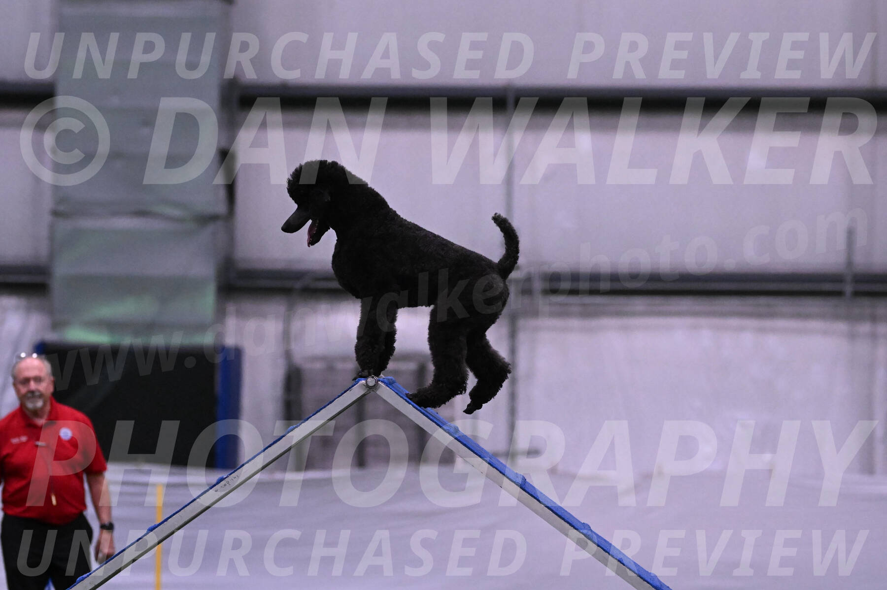 Finn-Madison-Canton-05437