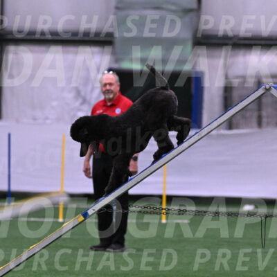 Finn-Madison-Canton-05439