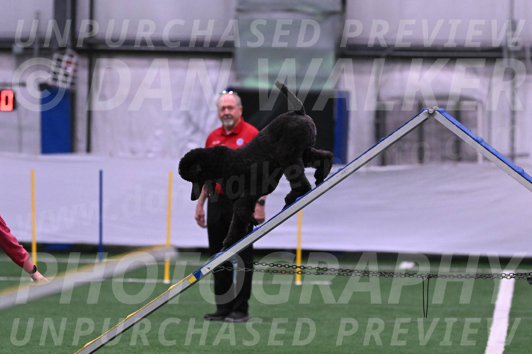 Finn-Madison-Canton-05439
