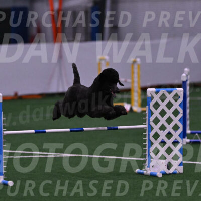 Finn-Madison-Canton-05444