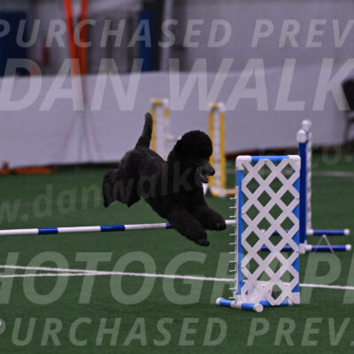 Finn-Madison-Canton-05445
