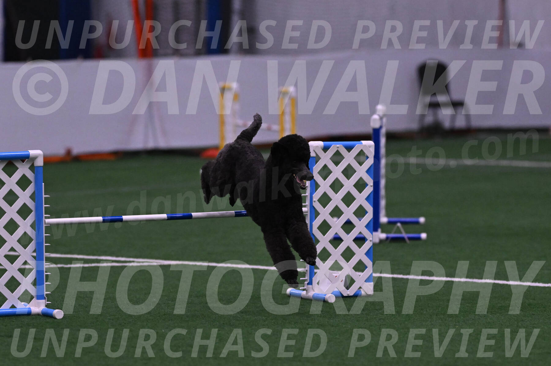 Finn-Madison-Canton-05446