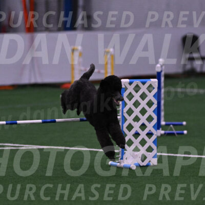 Finn-Madison-Canton-05446