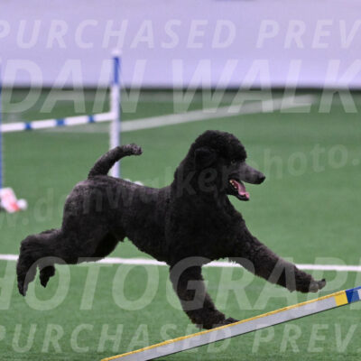 Finn-Madison-Canton-05447