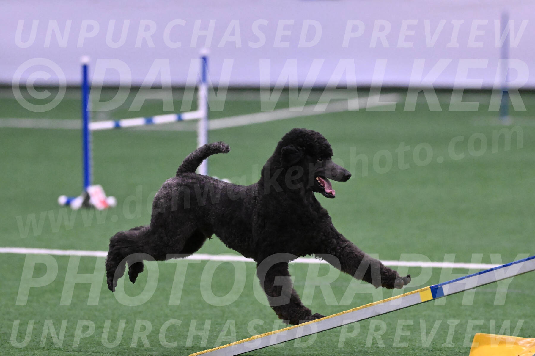 Finn-Madison-Canton-05447