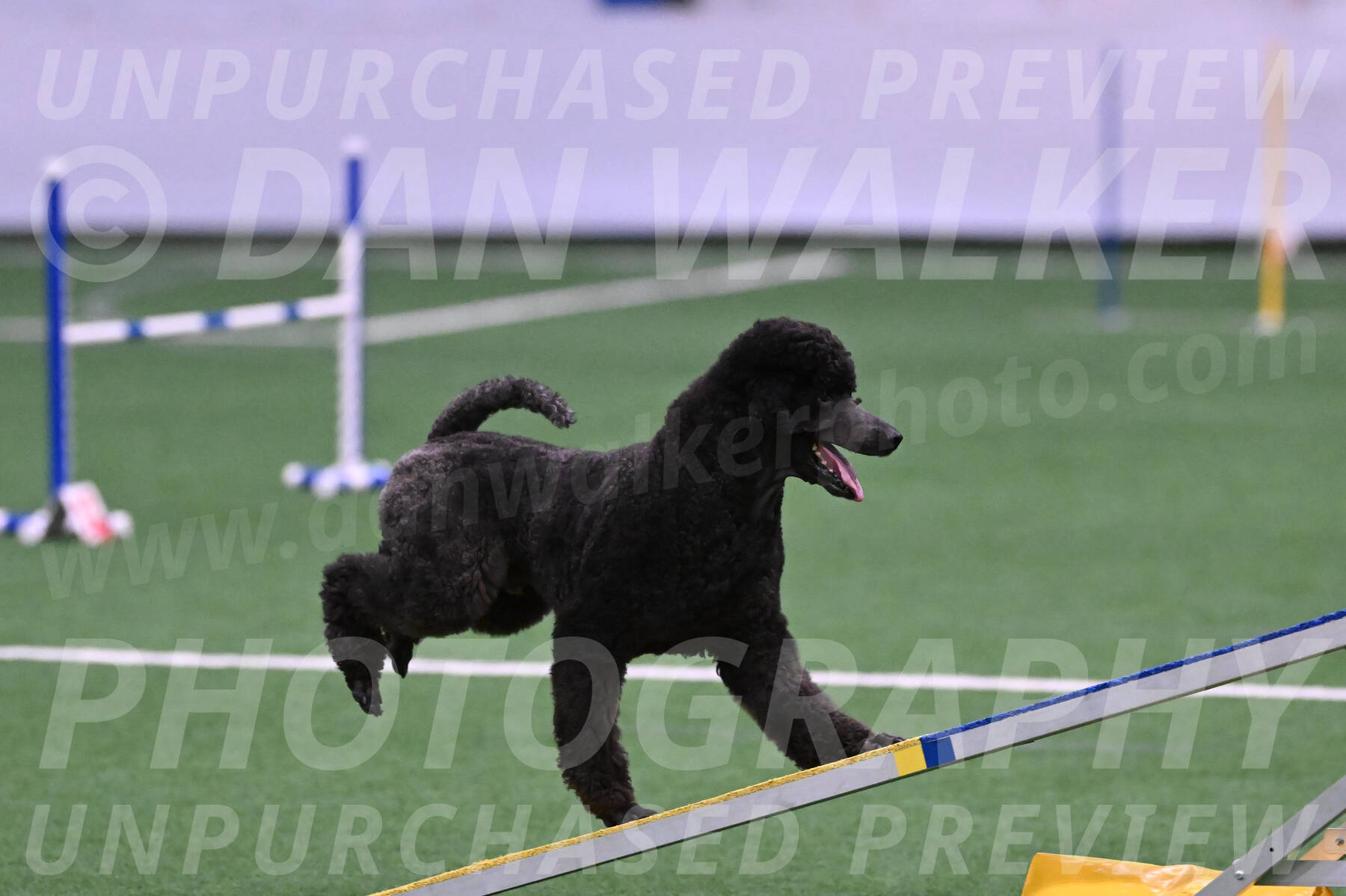 Finn-Madison-Canton-05448