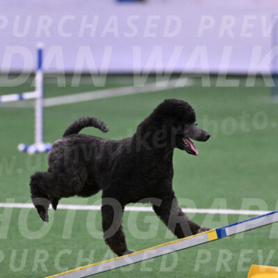 Finn-Madison-Canton-05448
