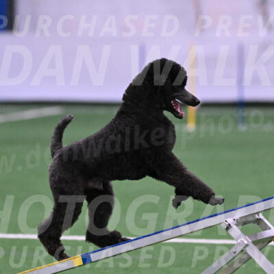 Finn-Madison-Canton-05450