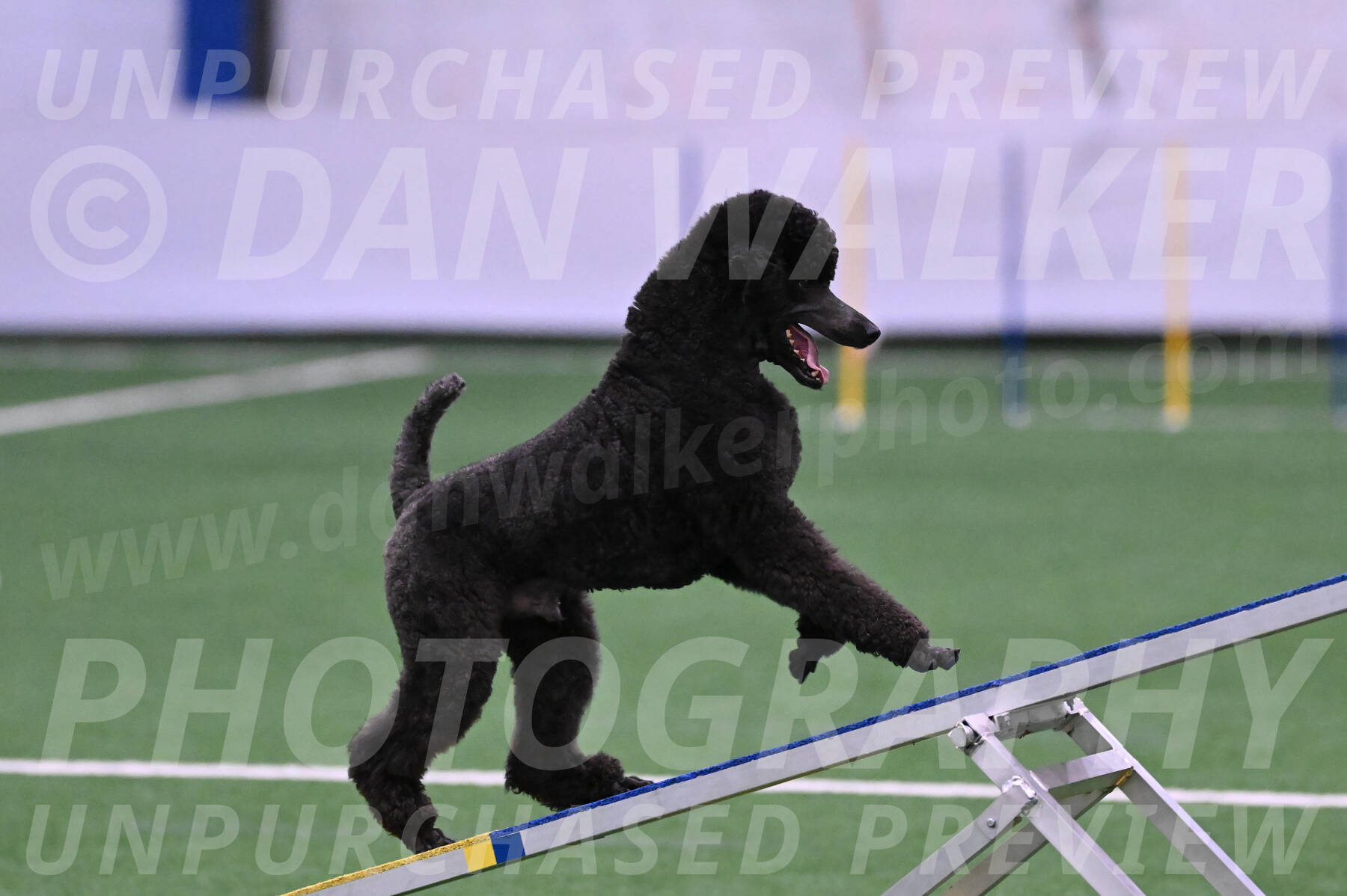 Finn-Madison-Canton-05450
