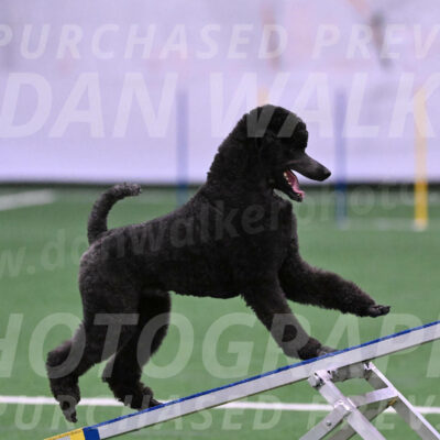 Finn-Madison-Canton-05451