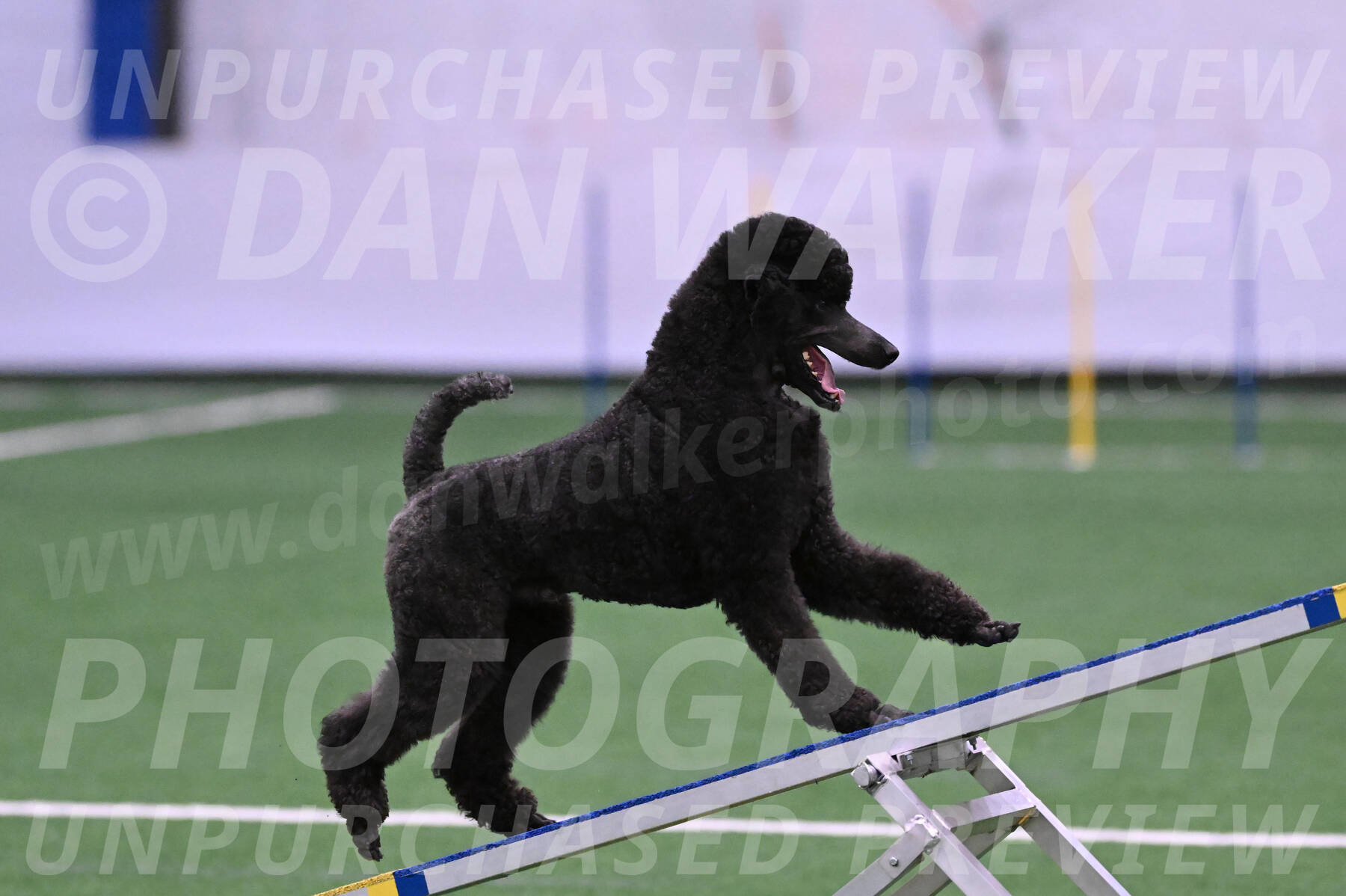 Finn-Madison-Canton-05451