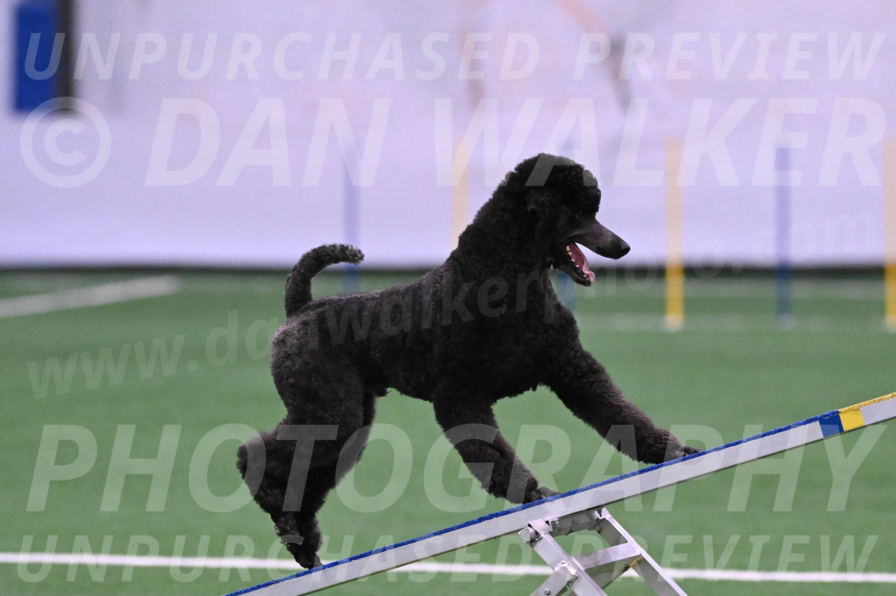 Finn-Madison-Canton-05452