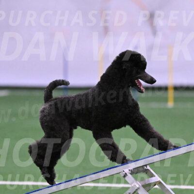 Finn-Madison-Canton-05452