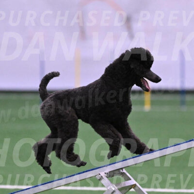 Finn-Madison-Canton-05453