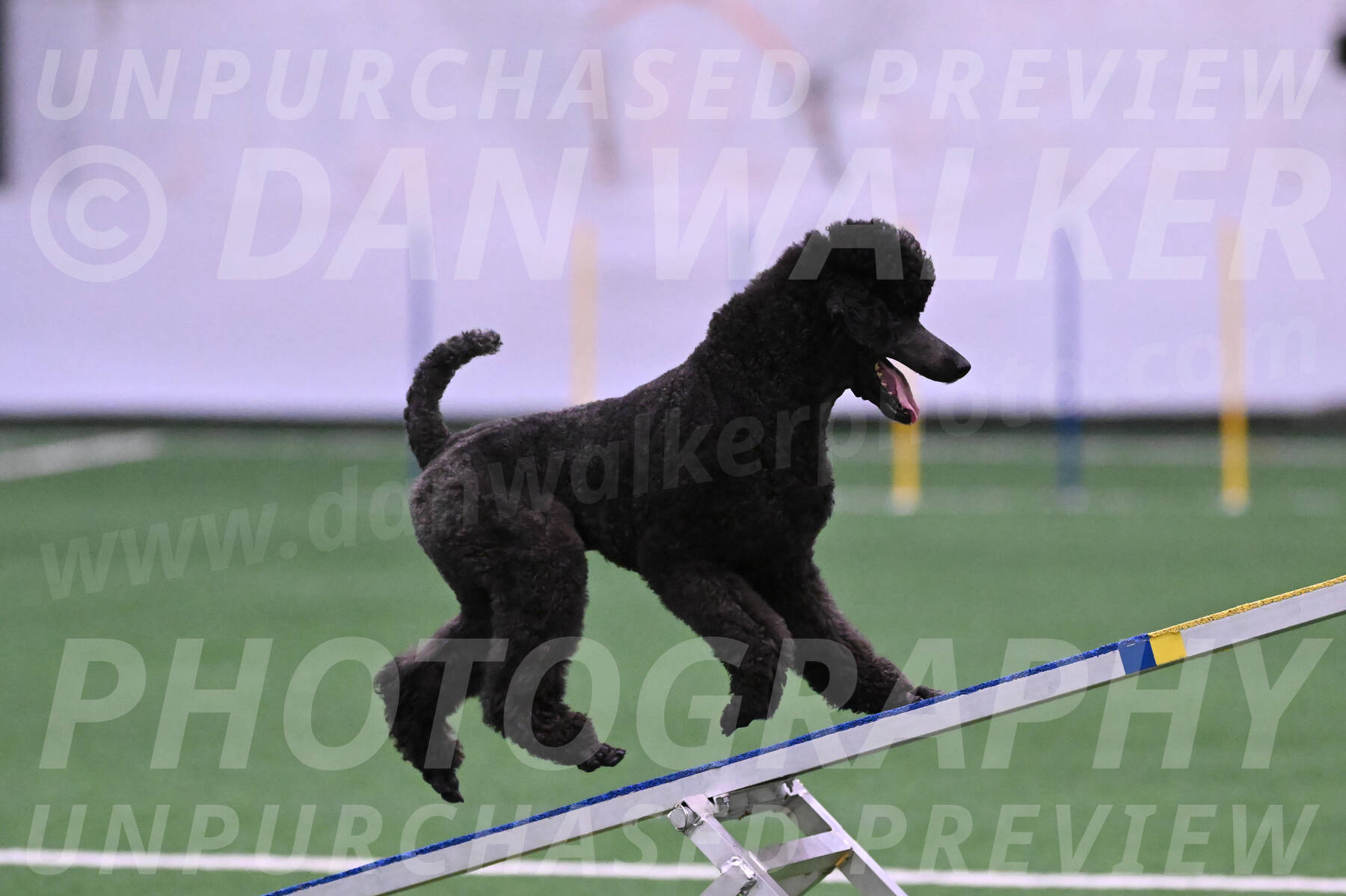 Finn-Madison-Canton-05453