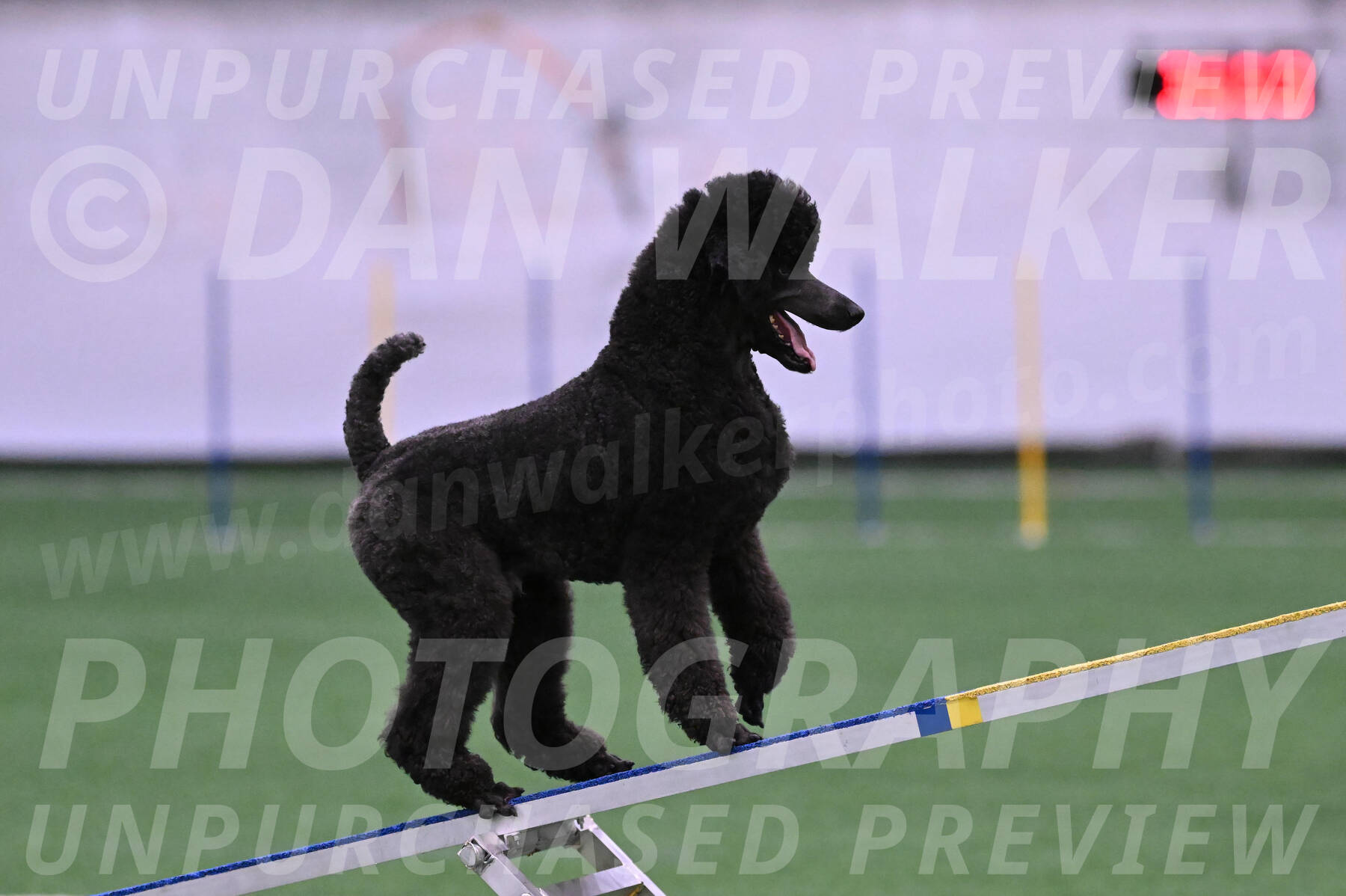 Finn-Madison-Canton-05456