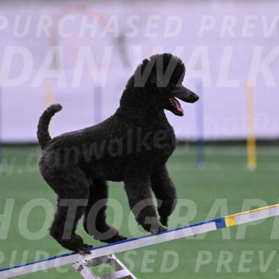 Finn-Madison-Canton-05456