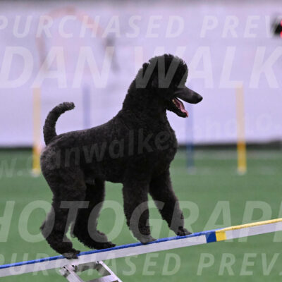 Finn-Madison-Canton-05458