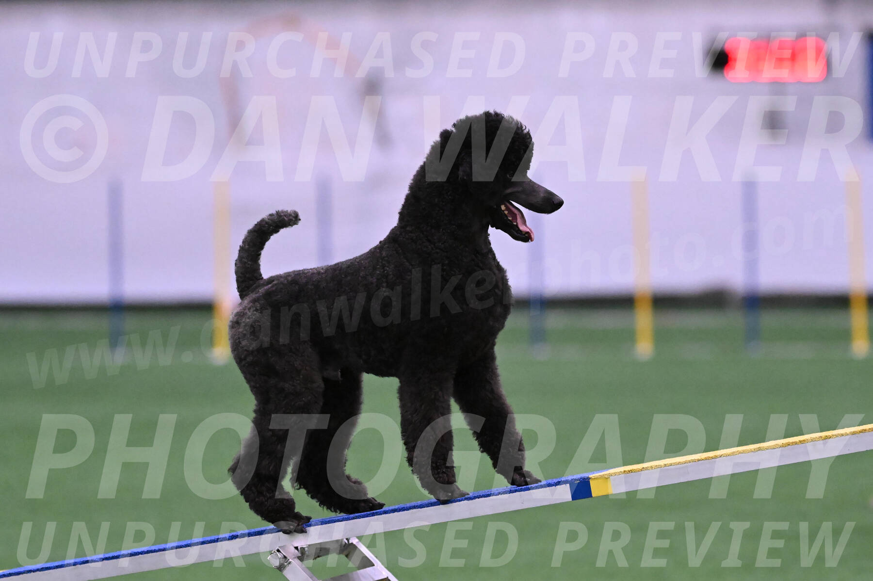 Finn-Madison-Canton-05458