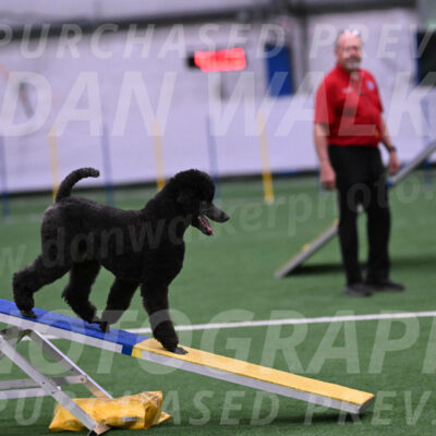 Finn-Madison-Canton-05459