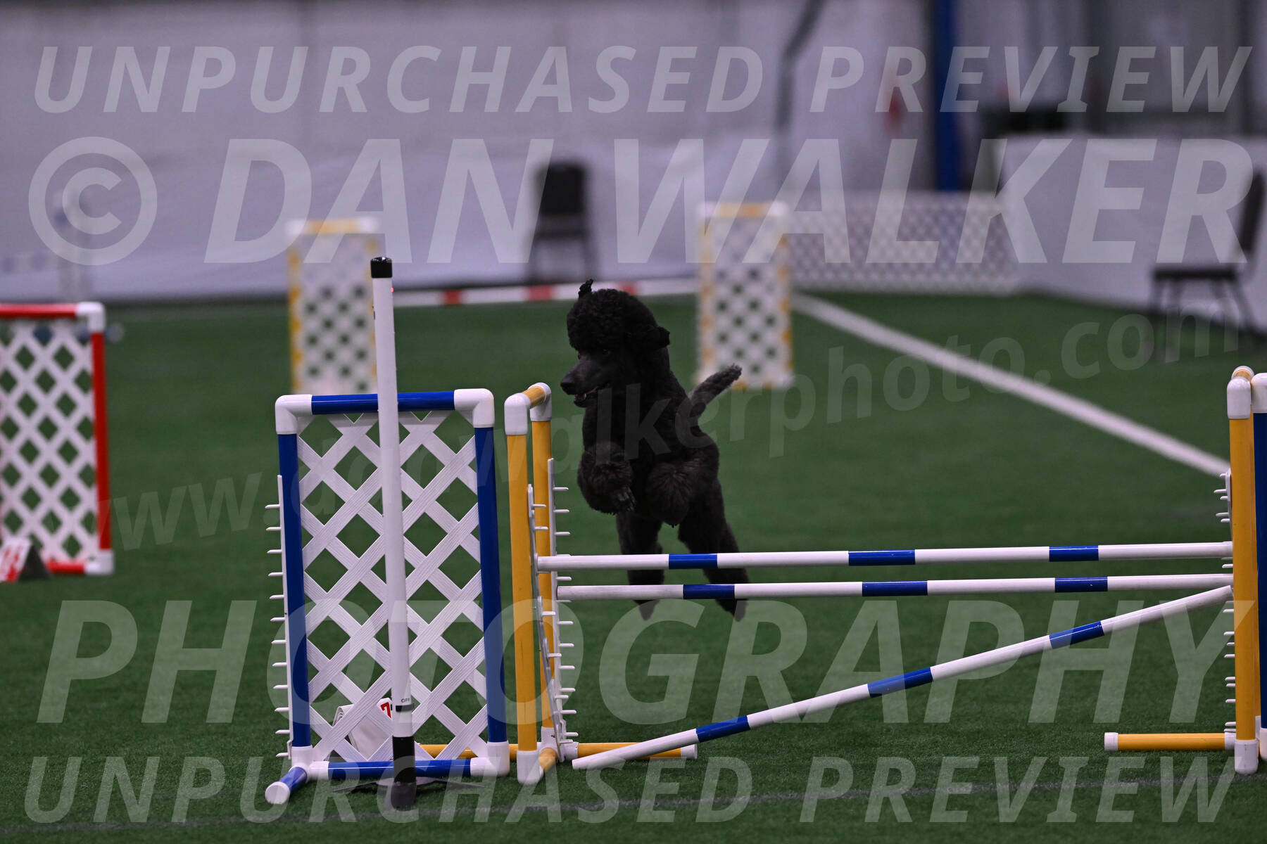 Finn-Madison-Canton-05461