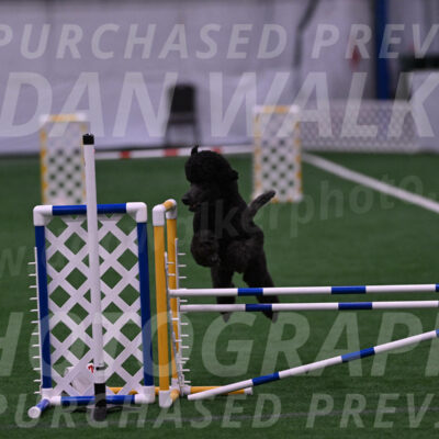Finn-Madison-Canton-05461