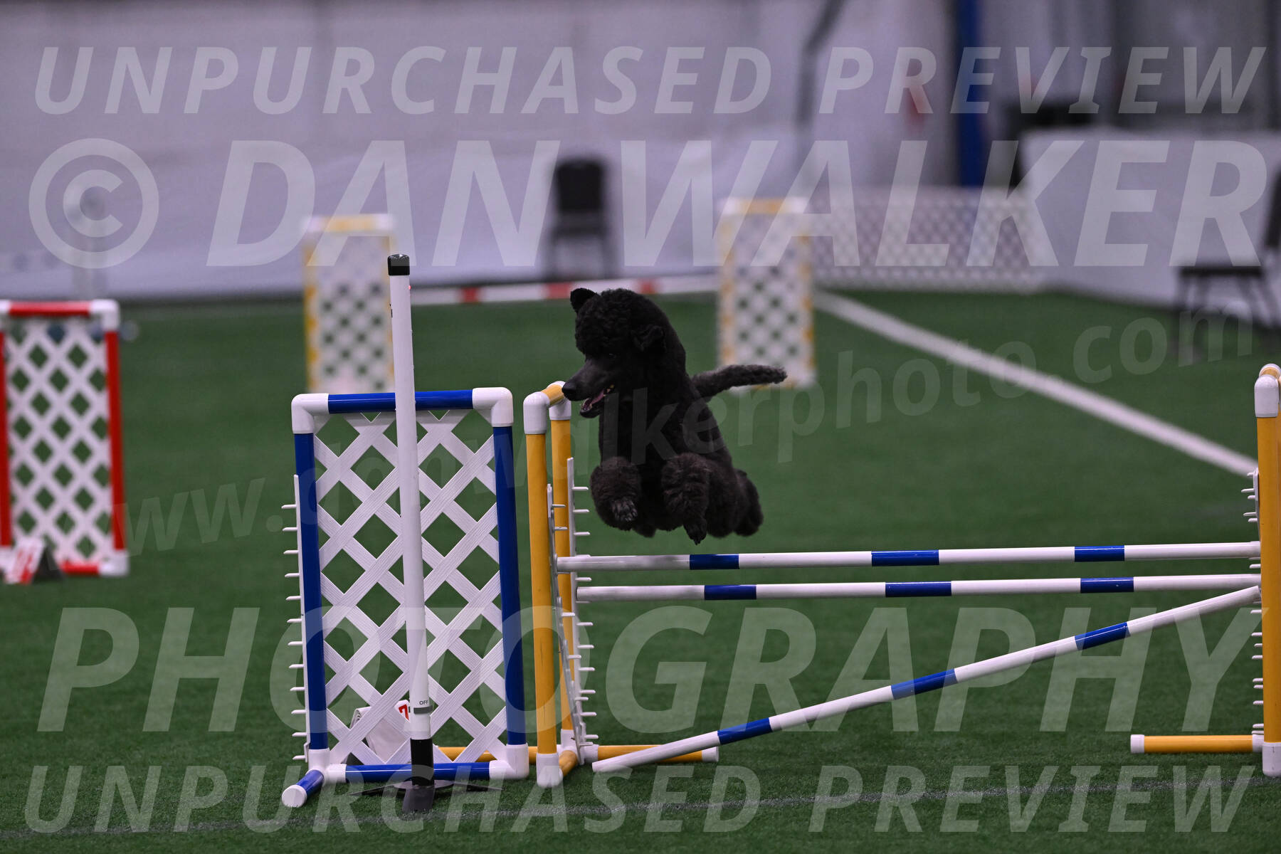 Finn-Madison-Canton-05462