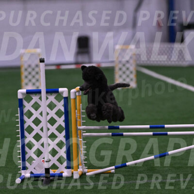 Finn-Madison-Canton-05462
