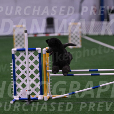 Finn-Madison-Canton-05463
