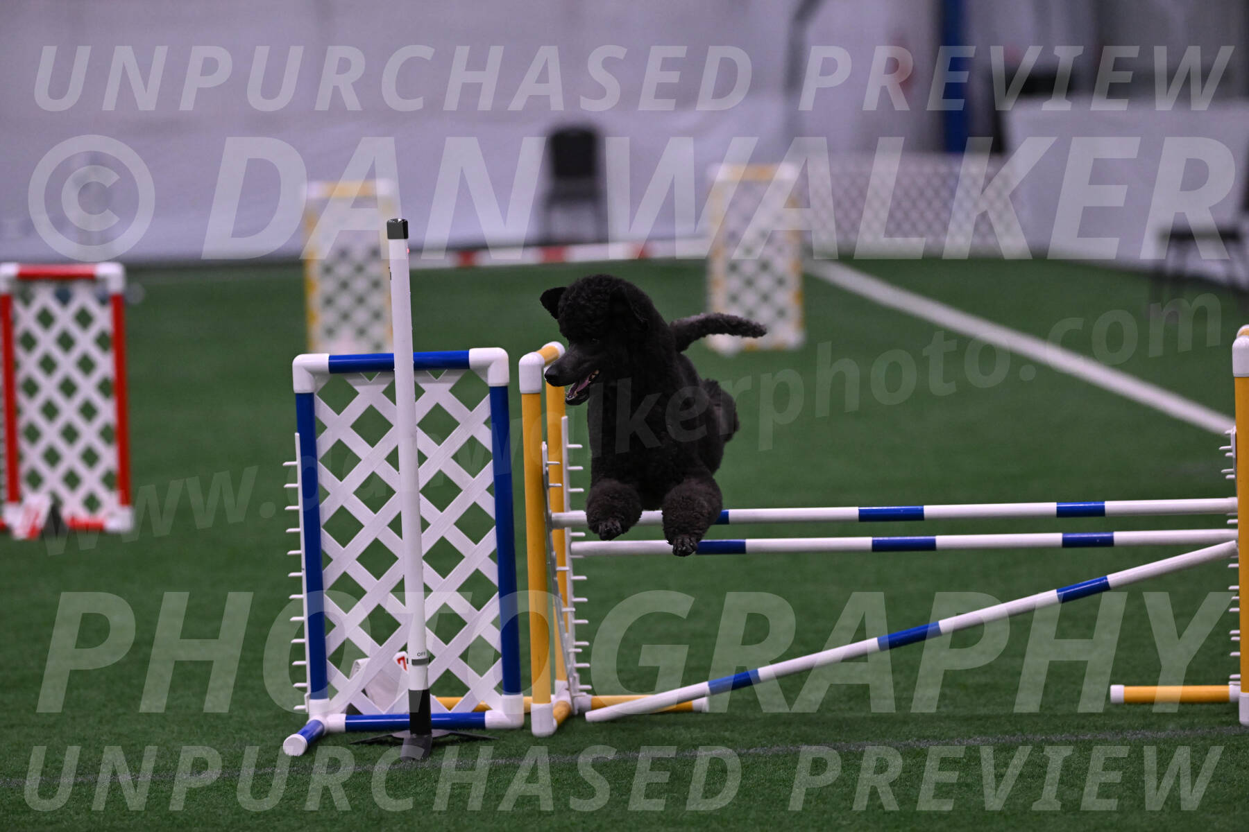 Finn-Madison-Canton-05463